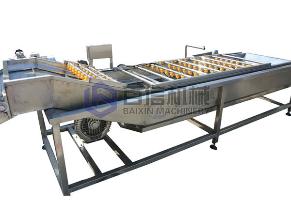 辣椒清洗機(jī)