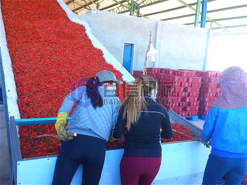 線椒烘干機(jī)