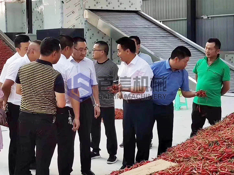 小型網帶烘干機