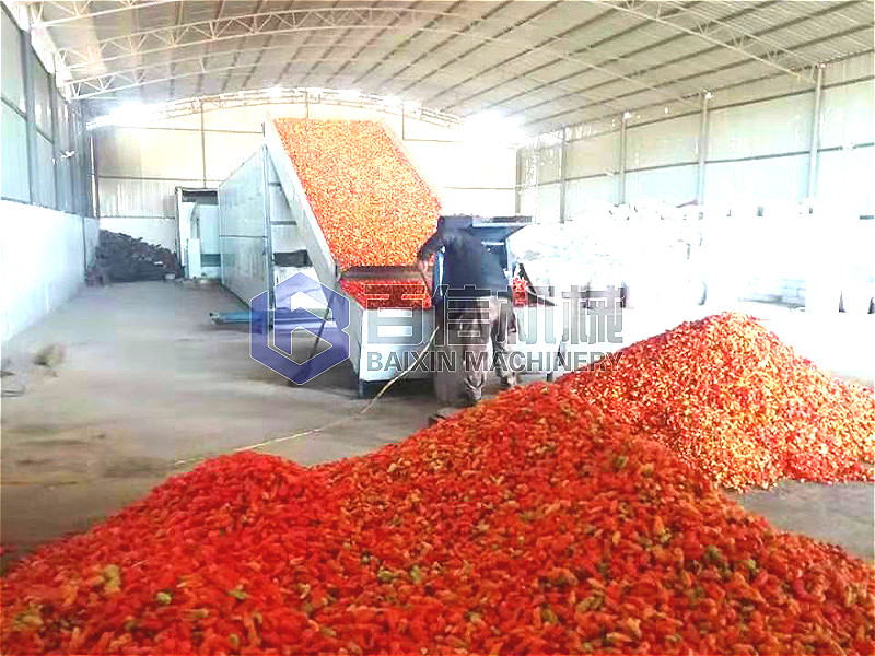 皺皺椒烘干機