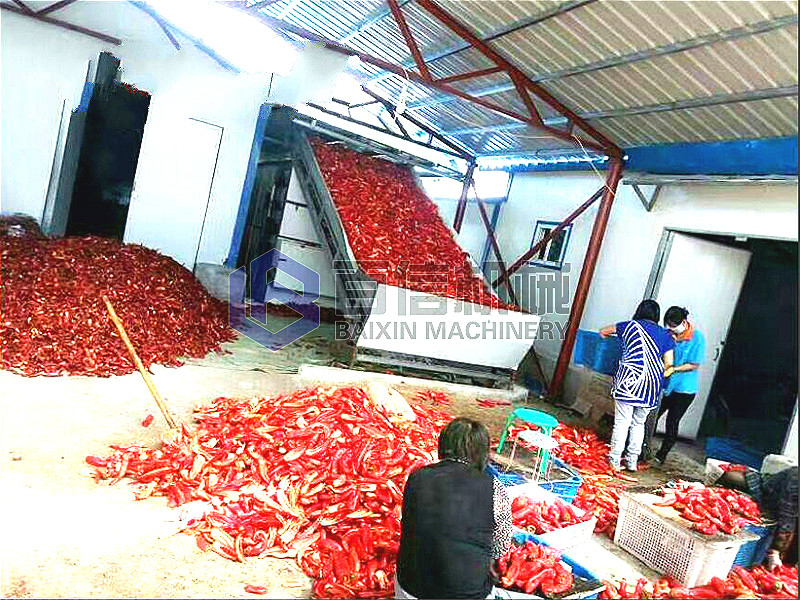 網(wǎng)帶辣椒烘干機(jī)